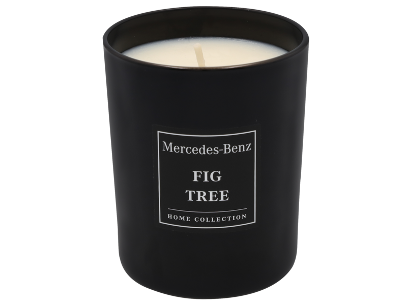 Scented candle, Fig Tree, 180 g, B66959756