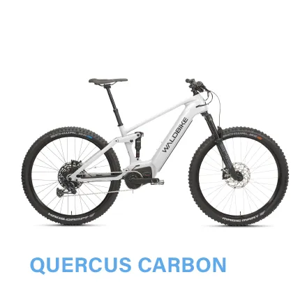 Kalbacher Waldbike Quercus Kalbacher Waldbike Quercus