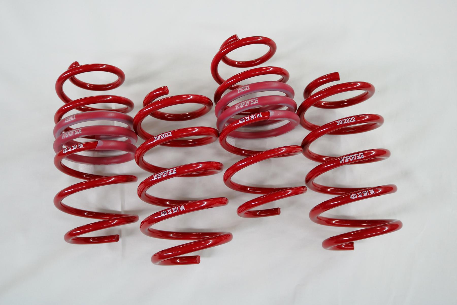 Sportfedersatz für Renault Kangoo Typ: RFK