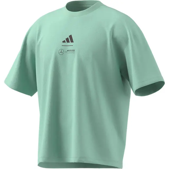 T-shirt men, Mercedes-AMG F1, green, XS, B67998287, green, B67998175