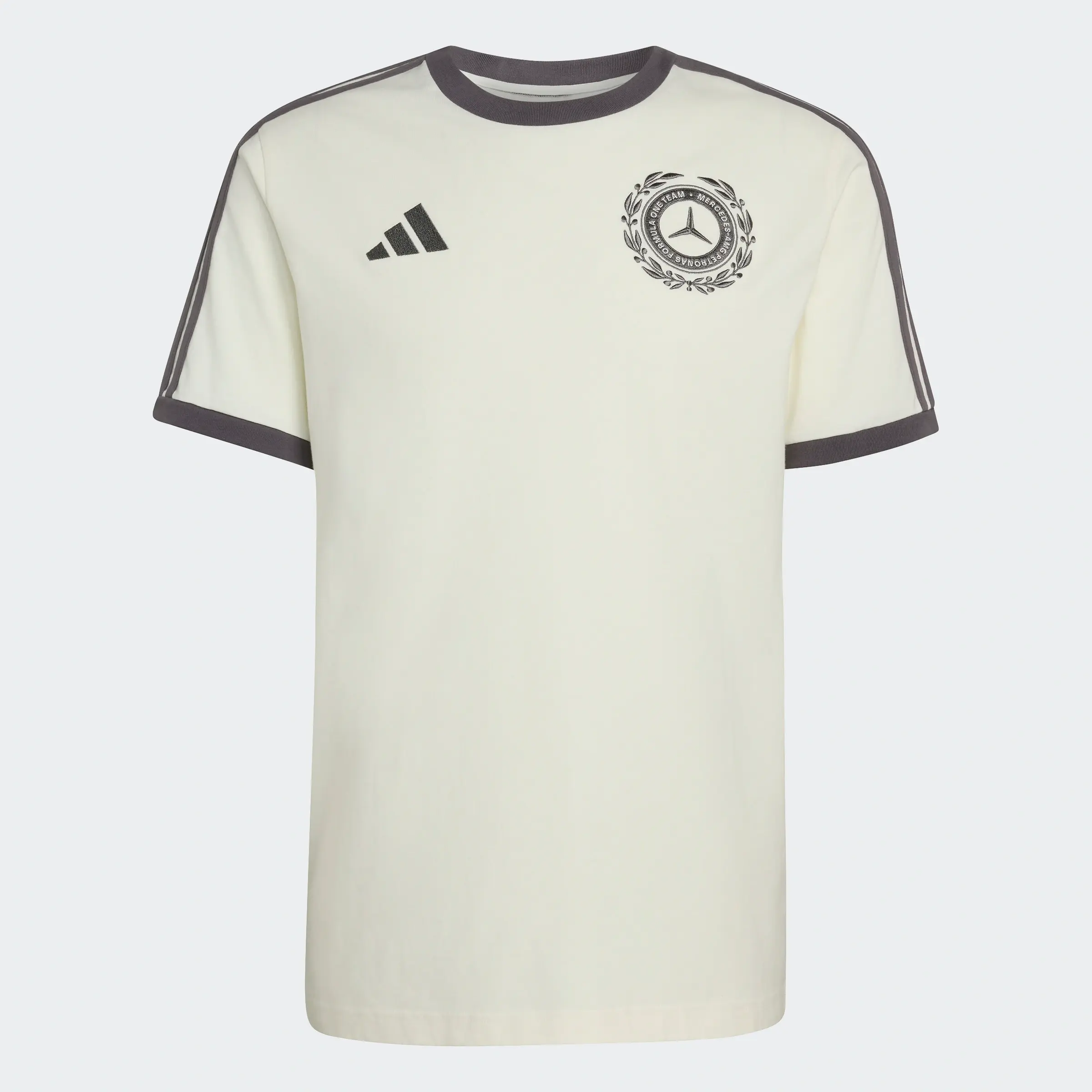 T-Shirt Herren, Mercedes-AMG F1, offwhite, B6799941 T-Shirt Herren, Mercedes-AMG F1, offwhite, B6799941