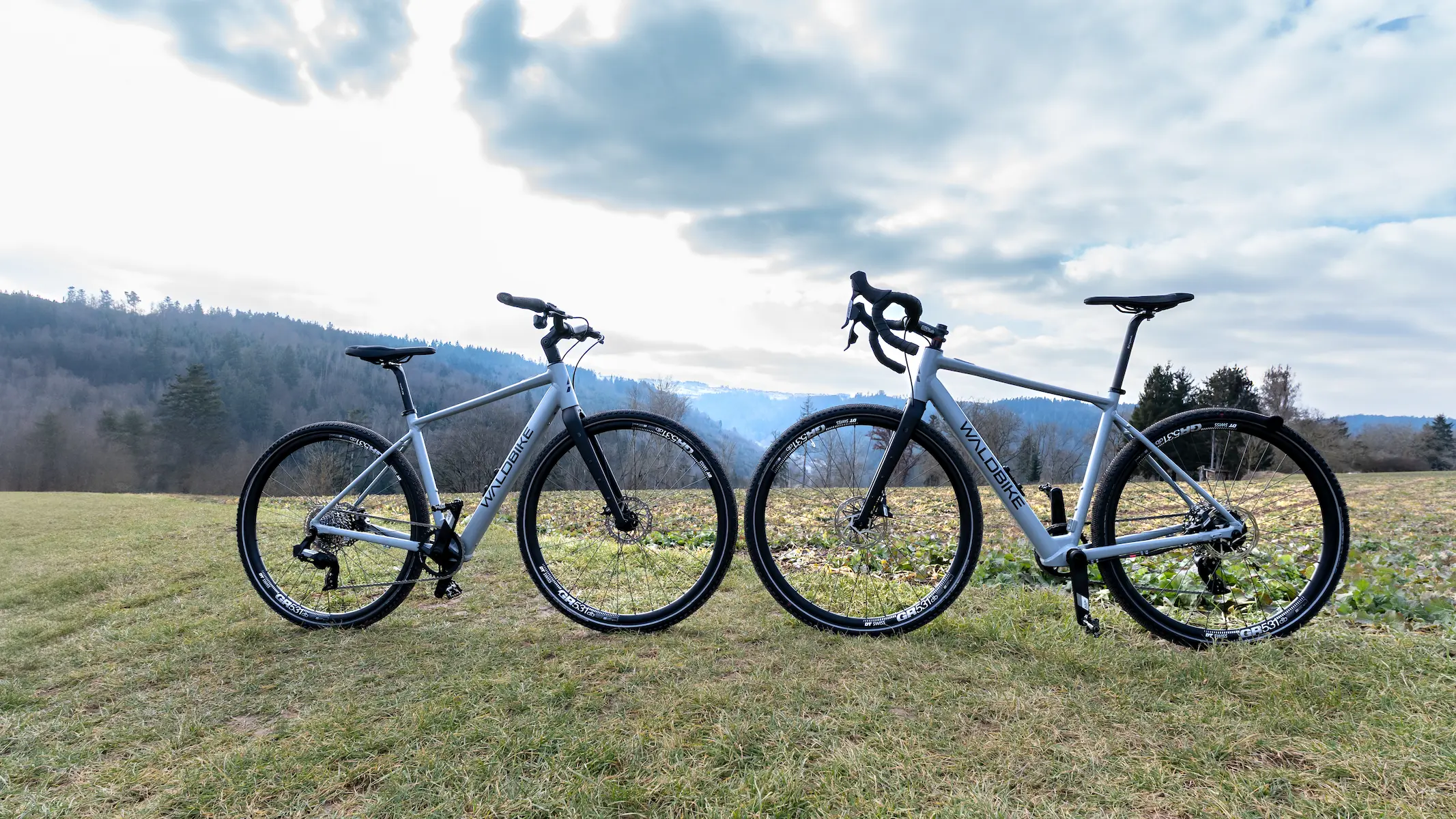 Waldbike Carpinus Gravel E-Bike 2024, 10042024.001.0