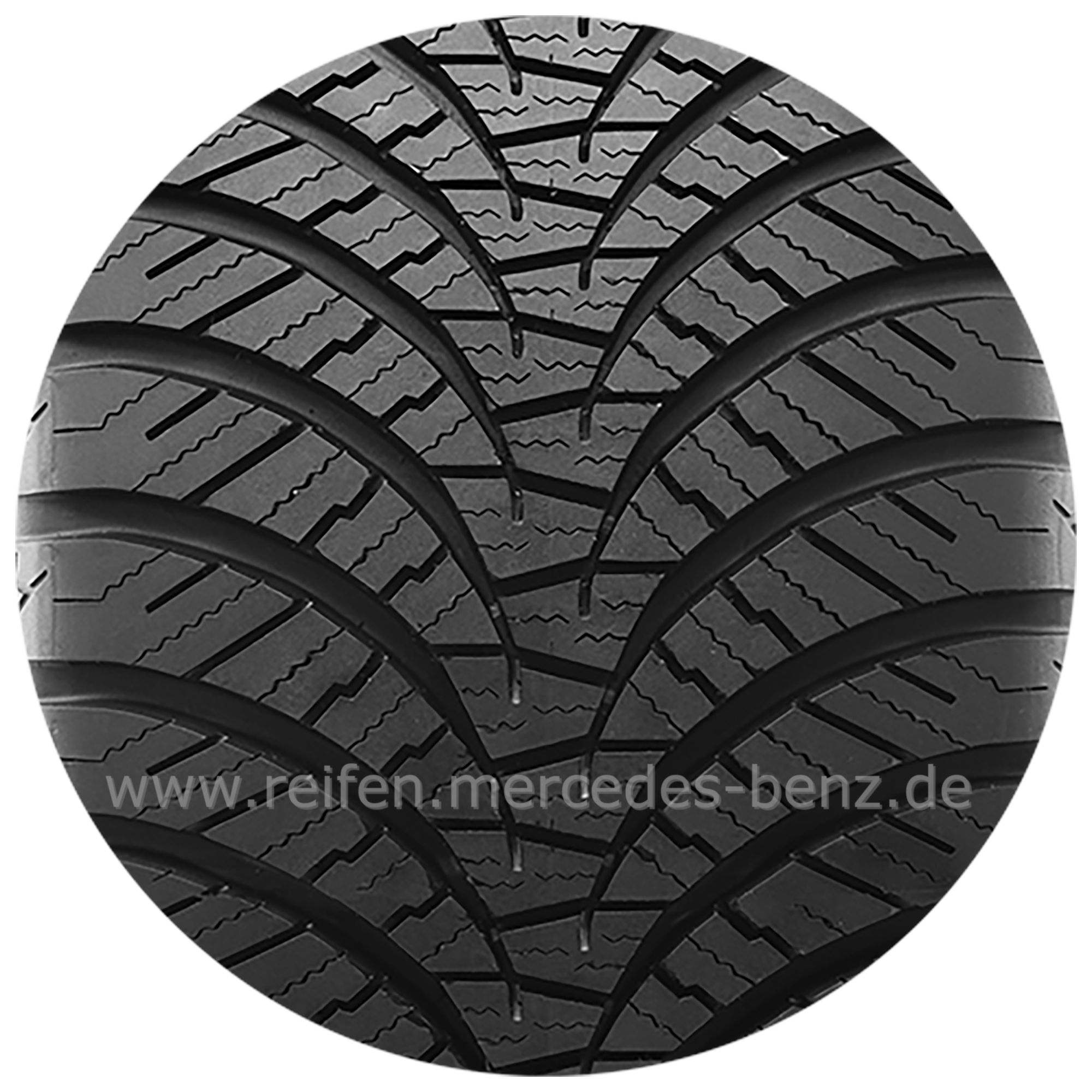 Mercedes-Benz all-season banden Euroall Season AS210, Falken, Euroall Season AS210, 205/50 R17 93 V XL, all-season, Q440703900100 Mercedes-Benz all-season banden Euroall Season AS210, Falken, Euroall Season AS210, 205/50 R17 93 V XL, all-season, Q440703900100