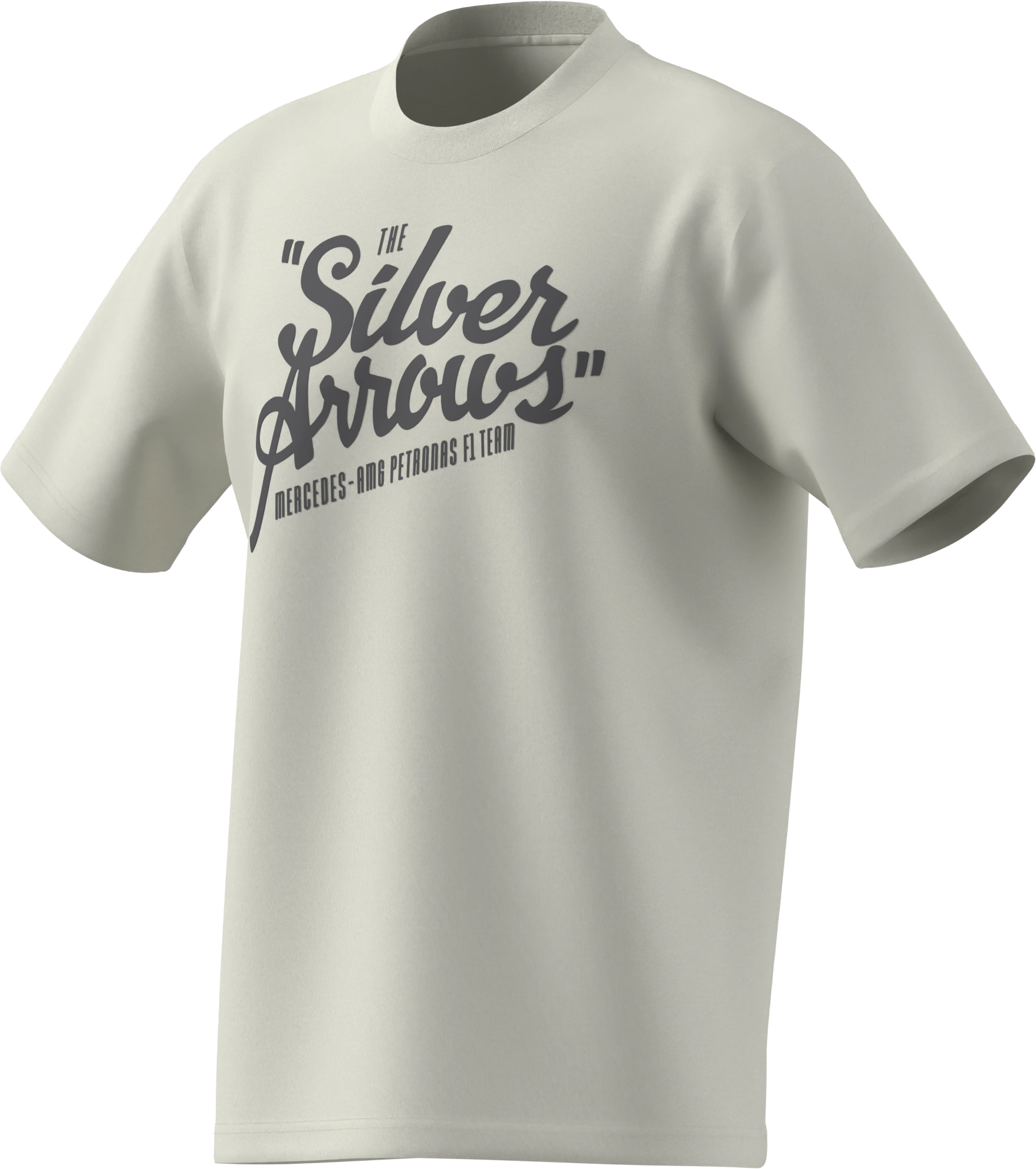 T-Shirt Herren, Mercedes-AMG F1, offwhite, B6799848 T-Shirt Herren, Mercedes-AMG F1, offwhite, B6799848