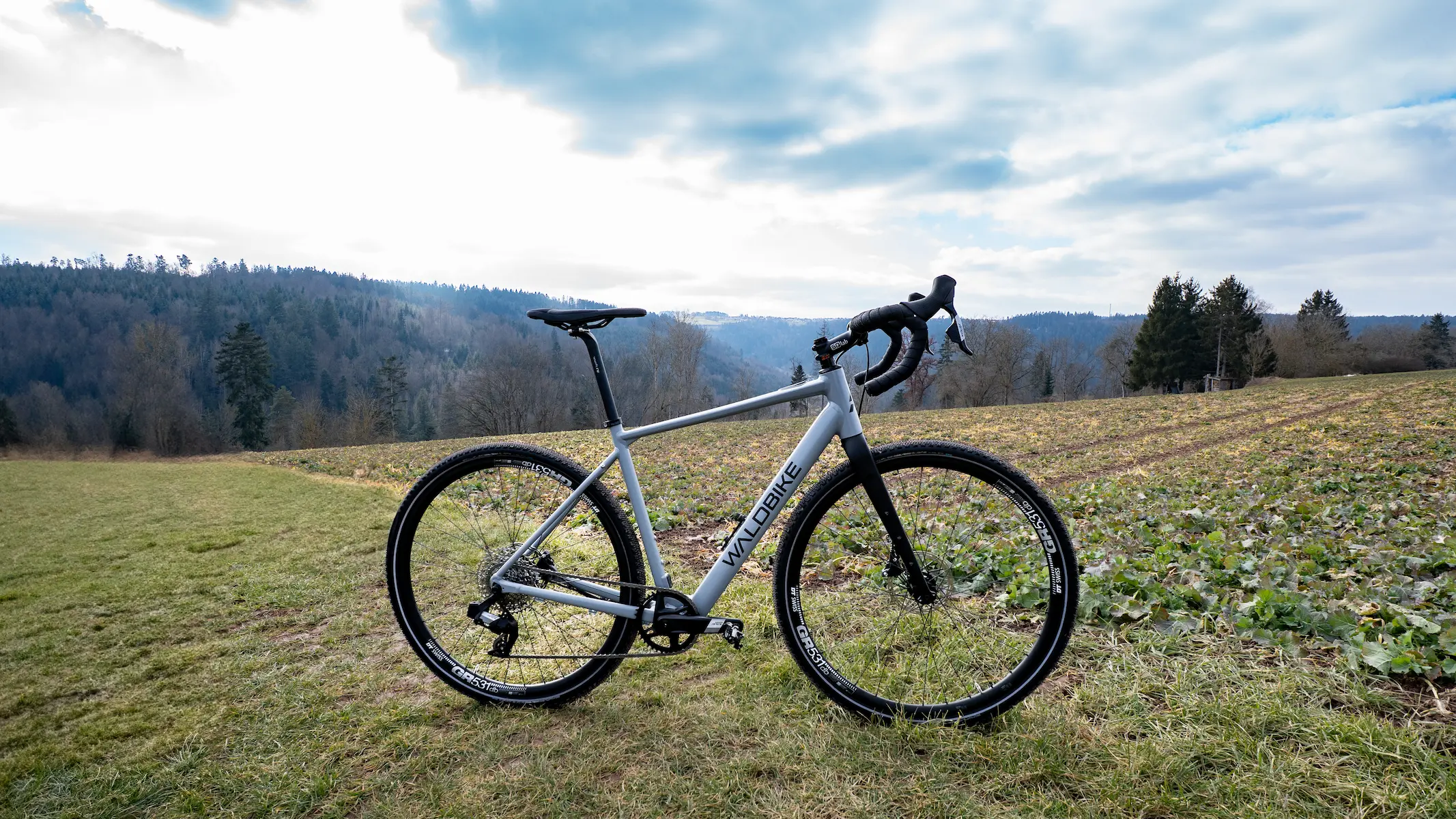 Waldbike Carpinus Gravel E-Bike 2024, 10042024.001.4 Waldbike Carpinus Gravel E-Bike 2024, 10042024.001.4