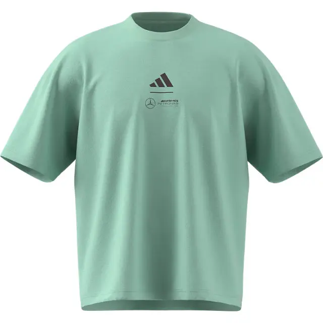 T-shirt men, Mercedes-AMG F1, green, XS, B67998287, green, B67998175