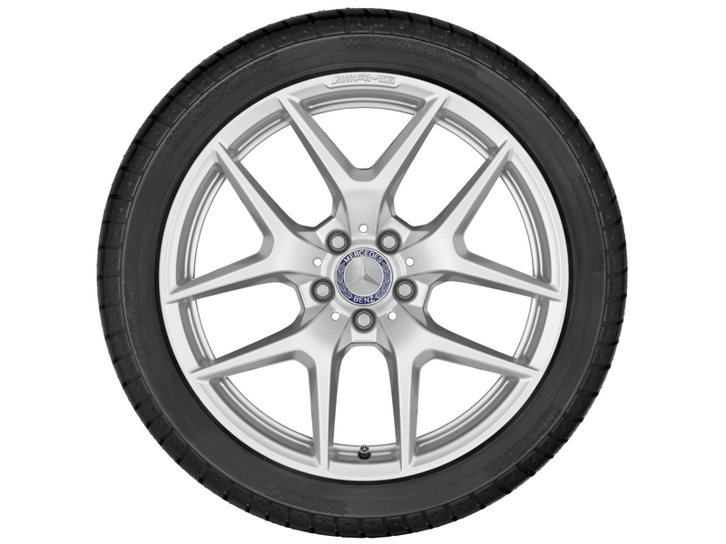 AMG 5-Doppelspeichen-Rad, 48,3 cm (19 Zoll), AMG GT, 295/35 R19/, vanadiumsilber, A19040104007X45