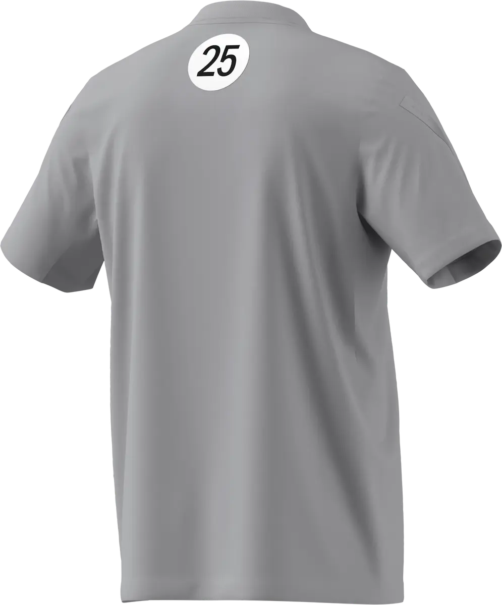T-Shirt Herren, Mercedes-AMG F1, Special Edition Silverstone 2025, grau, Baumwolle, Adidas, grau, B67998357