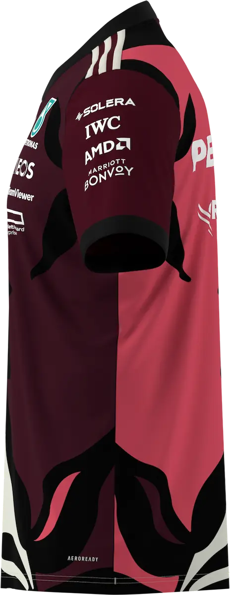 T-shirt men, driver, Mercedes-AMG F1, Special Edition Miami 2025, wine red, wine red, B67998352