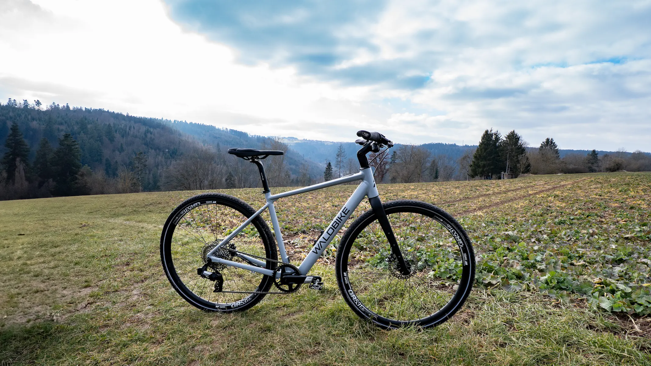 Waldbike Ulmus Urban E-Bike 2024, WB-10052024.001.2 Waldbike Ulmus Urban E-Bike 2024, WB-10052024.001.2