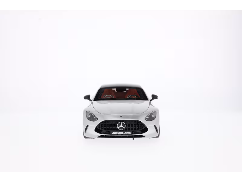 Mercedes-AMG GT 63, C192, hightechsilber, NZG, 1:18, B66960583