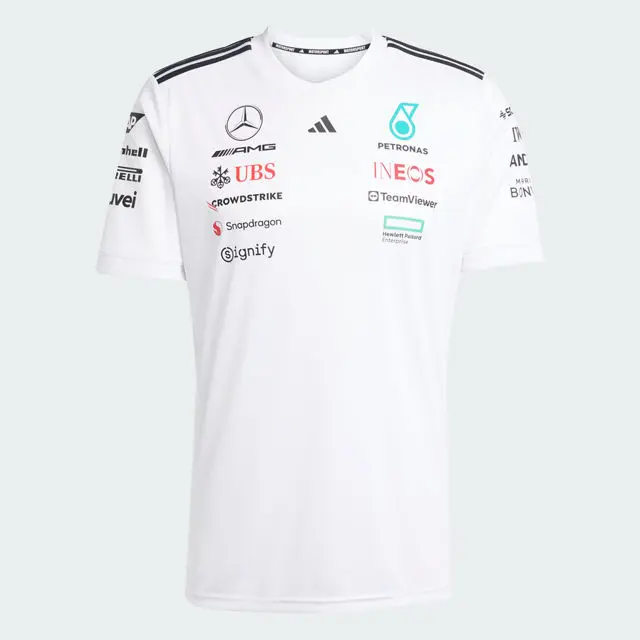 T-shirt men, driver, Mercedes-AMG F1, white, XXXL, B67998297, white, B67998136